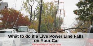 What to do if a Live Power Line Falls on Your Car